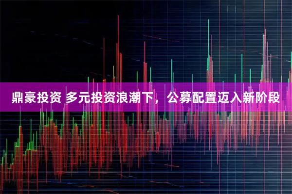 鼎豪投资 多元投资浪潮下，公募配置迈入新阶段