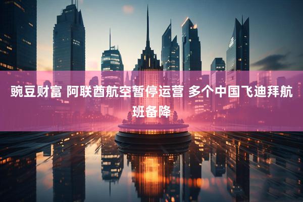 豌豆财富 阿联酋航空暂停运营 多个中国飞迪拜航班备降